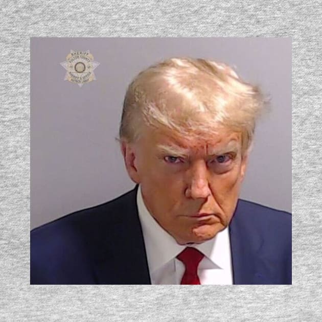 Trump Mugshot by isarol